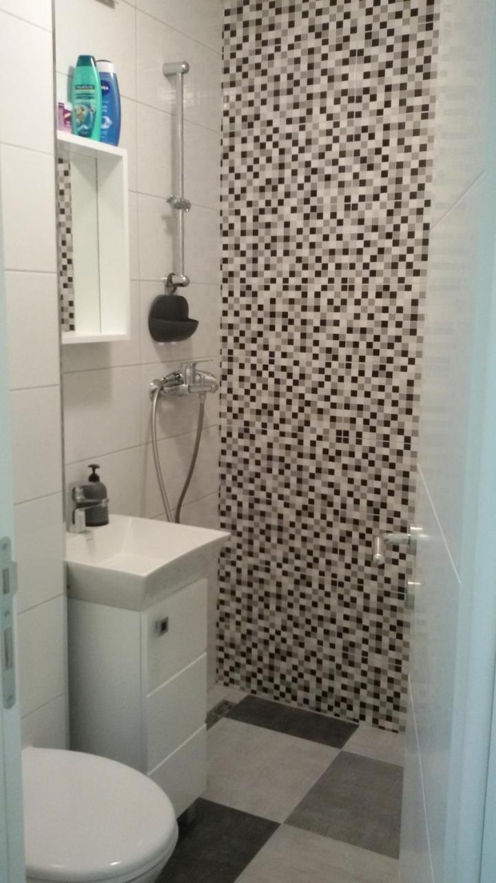 Dandelo Apartment Novi Sad
